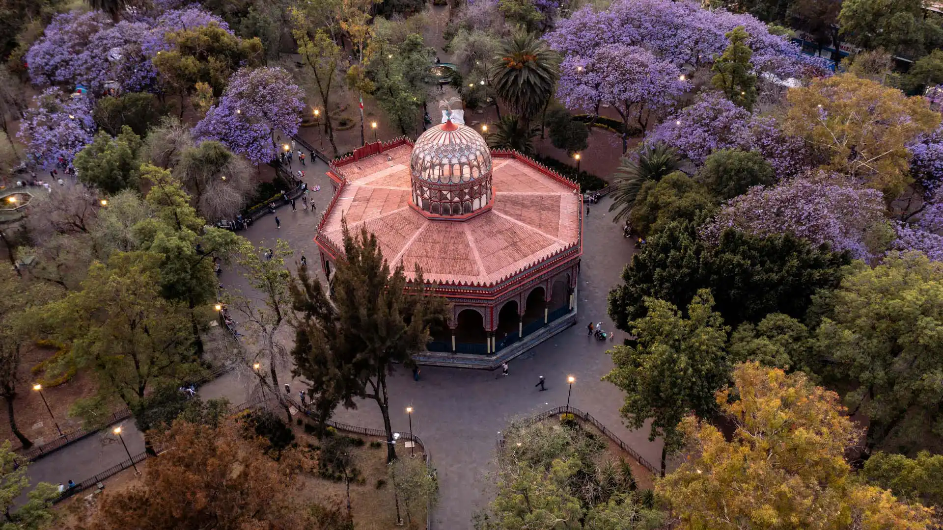 Kiosco de Coyoacán rodeado de árboles y flores de jacaranda en Ciudad de México