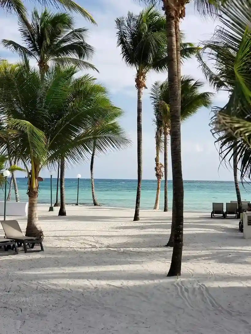 Playa de arena blanca con palmeras y camastros frente al mar Caribe en Quintana Roo, México