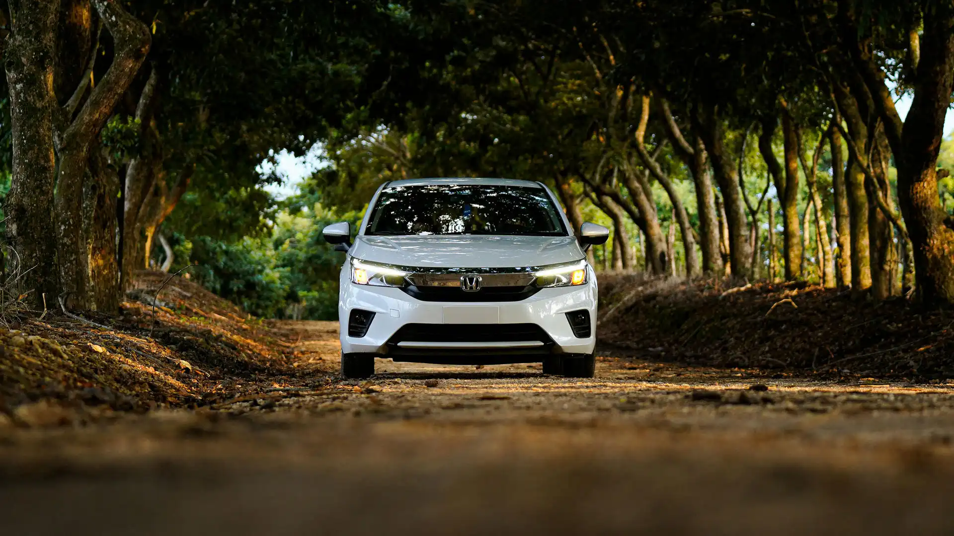 Auto blanco de renta estacionado en camino rodeado de árboles en México, ideal para transporte turístico y recorridos