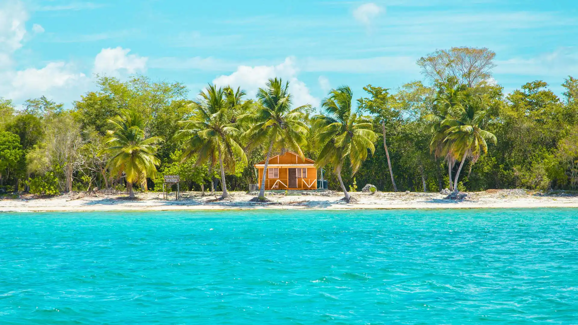 Cabaña de madera rodeada de palmeras frente al mar turquesa en una playa del Caribe